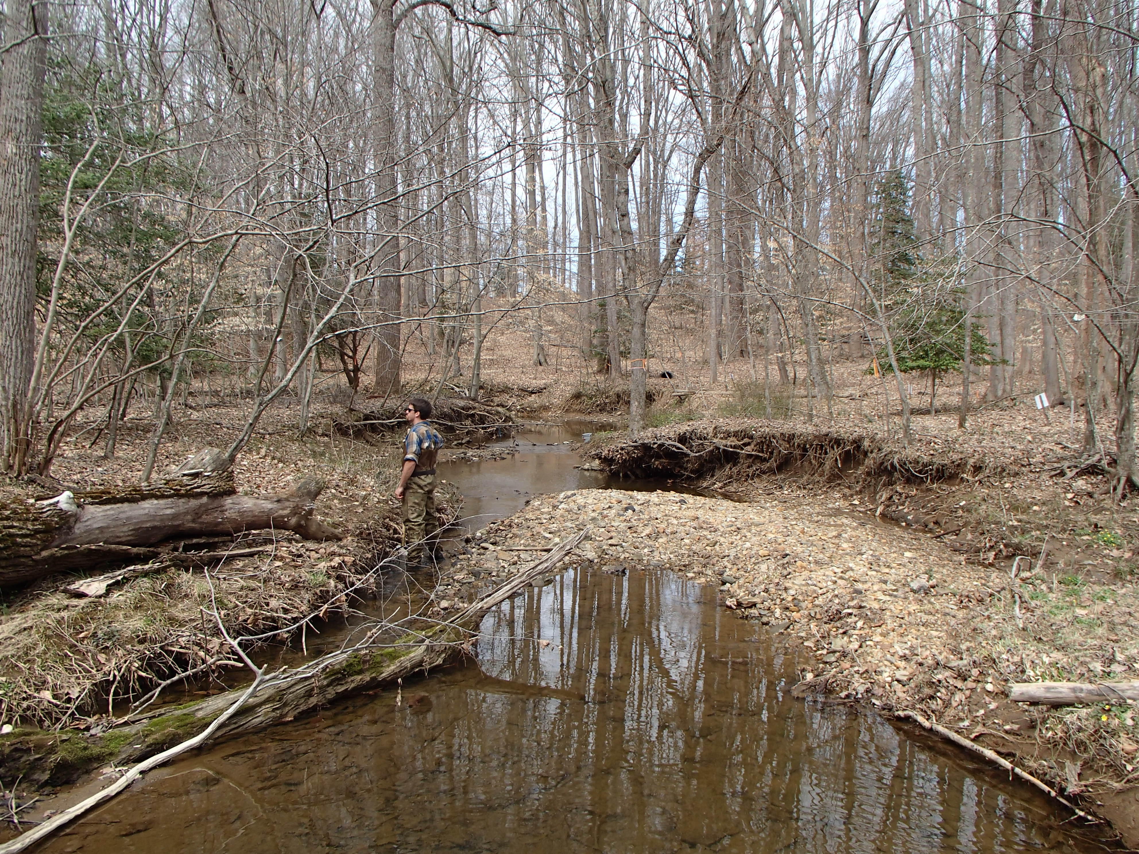 Field photo showing stream conditions at site PRMO-205-X-2016_Midpoint facing downstream